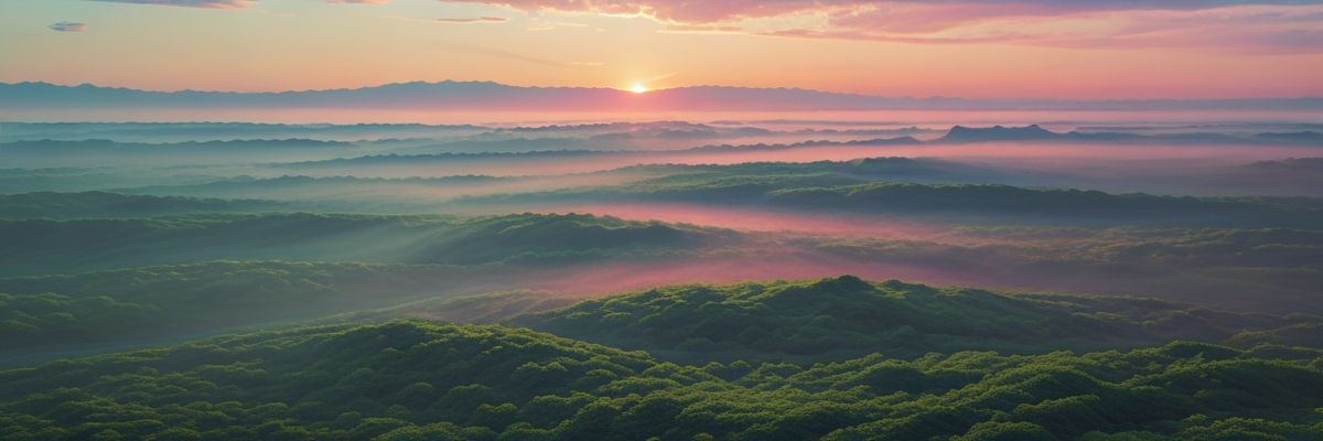 Exploring the Skies of Japan: A Pilot's Guide